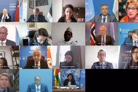 Vietnam calls for conflict resolution in Central African Republic via dialogue
