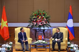 Top Lao legislator receives Vietnam-Laos Friendship Association delegation