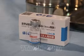 Vietnam's defence ministry receives 200,000 Vero-Cell vaccine doses donated by Chinese defence ministry