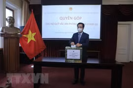Vietnam wishes to receive Russia’s first batch of COVID-19 vaccine in July or August: ambassador