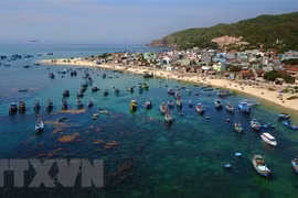 Vietnam eyes building blue economy partnership group