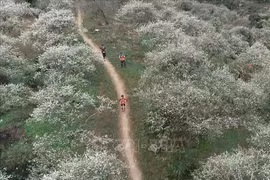 Nearly 4,300 runners to compete at Vietnam Trail Marathon in Son La