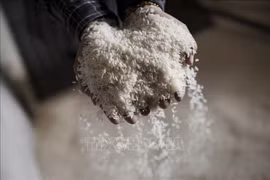 Laos exports rice to EU for first time