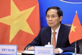 FM vows to work for fastest access to vaccines against COVID-19