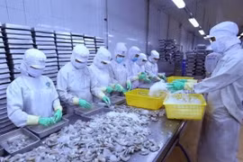  Workshop discusses labour market development to boost economic restructuring