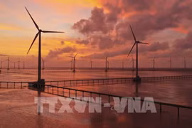 Clean energy development helps Vietnam reduce dependence on imports: official 
