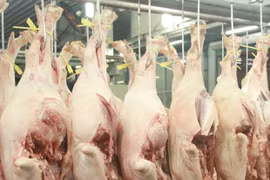 Vietnam’s meat export to China spurs in October