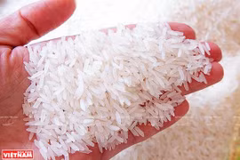 High demands push Vietnamese rice's prices up: Business Recorder