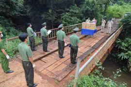 Vietnamese, Cambodian police enhance ties amidst COVID-19