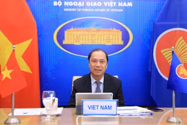 Vietnam attends 23rd ASEAN-India SOM