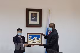 Vietnam, Mozambique enhance ties in education