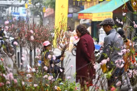 Hanoi postpones many cultural activities due to COVID-19