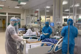 HCM City asked to focus on treating serious COVID-19 cases