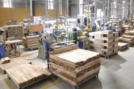 Wood sector surpasses export target despite COVID-19