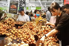Activities planned for Hanoi stimulus programme
