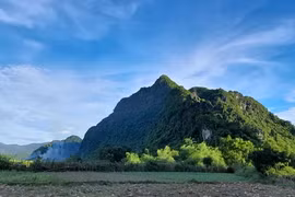 Protected zone established for endangered primates in Quang Binh