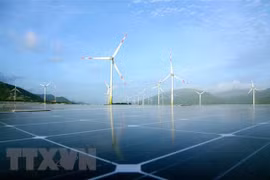 Two wind power plants to be built in Tien Giang province