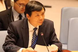 Vietnam condemns violence against civilians in Somalia: Ambassador