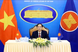 10.5 mln USD earmarked from ASEAN COVID-19 response fund should be used to buy vaccines quickly: minister 