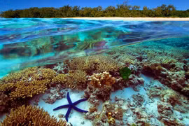Vietnam plans activities in response to World Oceans Day