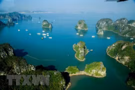 Better environment protection in Ha Long Bay urged for sustainable tourism