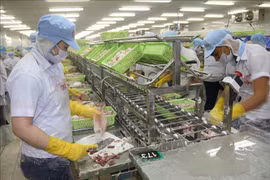 Tien Giang’s export up over 11 percent in nine months