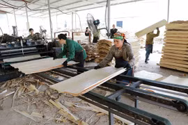 ASEAN launches regional study report on labour productivity