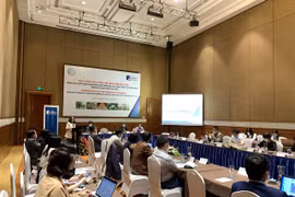 Short food supply chain model set for success in Vietnam