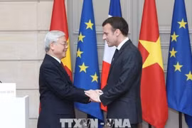 French President affirms Vietnam’s special position in France’s policies