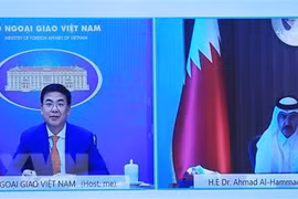 Vietnam, Qatar hold great cooperation potential