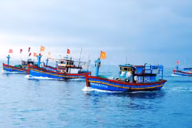 Kien Giang intensifies IUU fishing combat