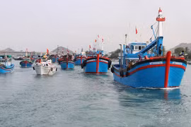Vietnam to complete fishery management institutions in Q4