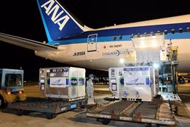 Batch of COVID-19 vaccine donated by Japan arrives in Vietnam