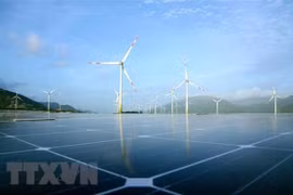 Quang Tri: Wind power projects worth over 250 million USD given go-ahead