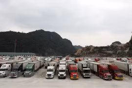 Vietnam, China seek solutions to cargo congestion at border gates 