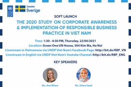UNDP announces study on corporate awareness, responsible business practice in Vietnam