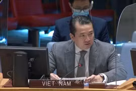 Vietnam condemns use of chemical weapons at UNSC discussion