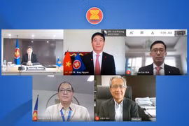 Vietnam’s new representative to ASEAN presents credentials