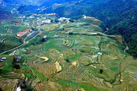 Lao Cai aims to welcome 5 mln visitors this year