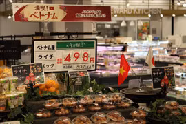 Vietnamese farm produce introduced to Japan