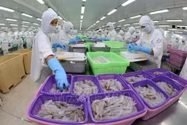 Shrimp industry strives to remain big foreign currency earner