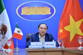 Political consultation held to reinforce Vietnam - Mexico relations