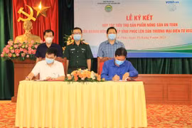 Vinh Phuc’s farm products to be on sale on Voso.vn