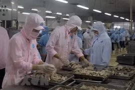 Vietnamese, US officials talk economic, trade issues