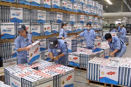 HCM City working hard to promote gender equality 