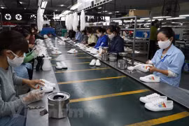 Vietnamese businesses look to further optimise opportunities from CPTPP