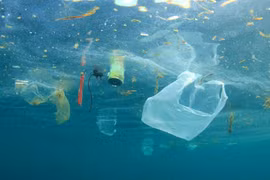 Vietnamese, French experts share experience in marine pollution control