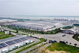 COVID-19 claims thousands of businesses in Mekong Delta