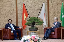 Vietnam wishes to lift ties with Japan to new height: Japanese media