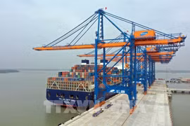 Volume of containers through Ba Ria-Vung Tau seaports up 21 percent